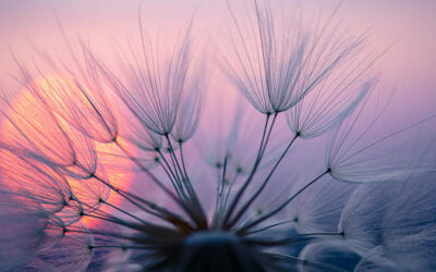 Accepter l’impermanence pour éviter de trop souffrir